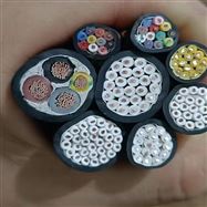 铠装计算机电缆仪器仪表专用线