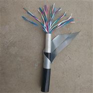 阻燃计算机电缆 2芯电子线