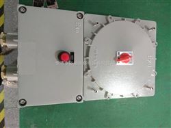 BXL-安慶漏電保護防爆斷路器