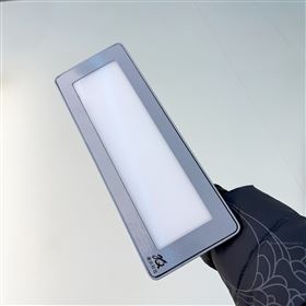 NFC9142電廠變電站LED應(yīng)急低頂燈