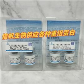 重組人卷曲螺旋結(jié)構(gòu)域蛋白11（CCDC11）蛋白