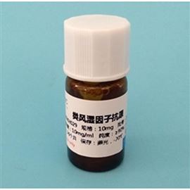 類風(fēng)濕因子RF抗原