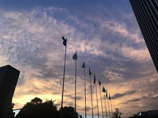 智慧城市1月数据透视：运营元年开启，县域赛道崛起