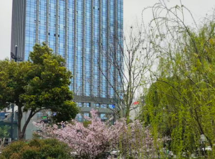 苏州：波司登AI驱动服装产业全价值链智慧运营场景