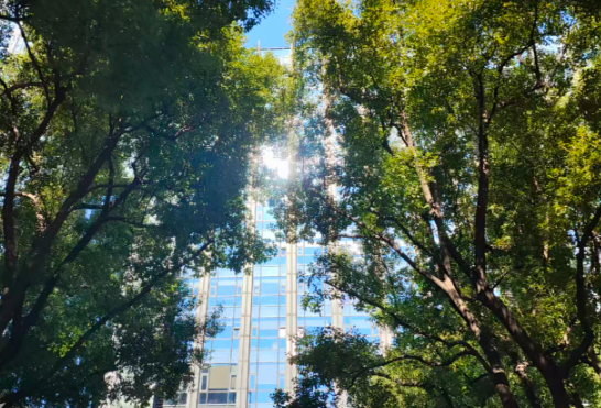 珠海市政务服务和数据管理局关于印发《珠海市低空数据管理办法》的通知