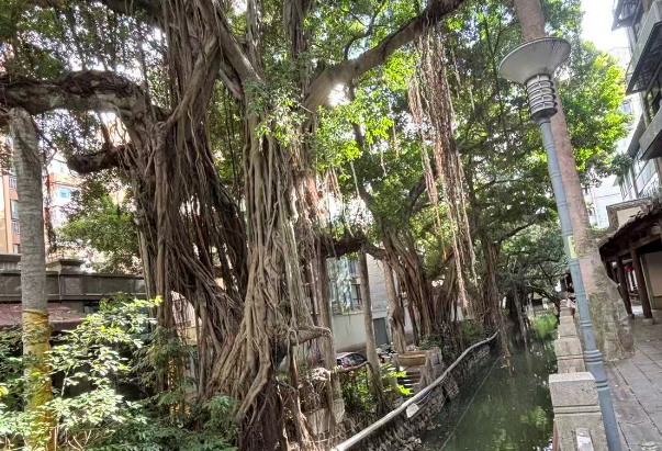 山西投资 2.6 亿升级森林防火监测，监控塔＋无人机机场双覆盖