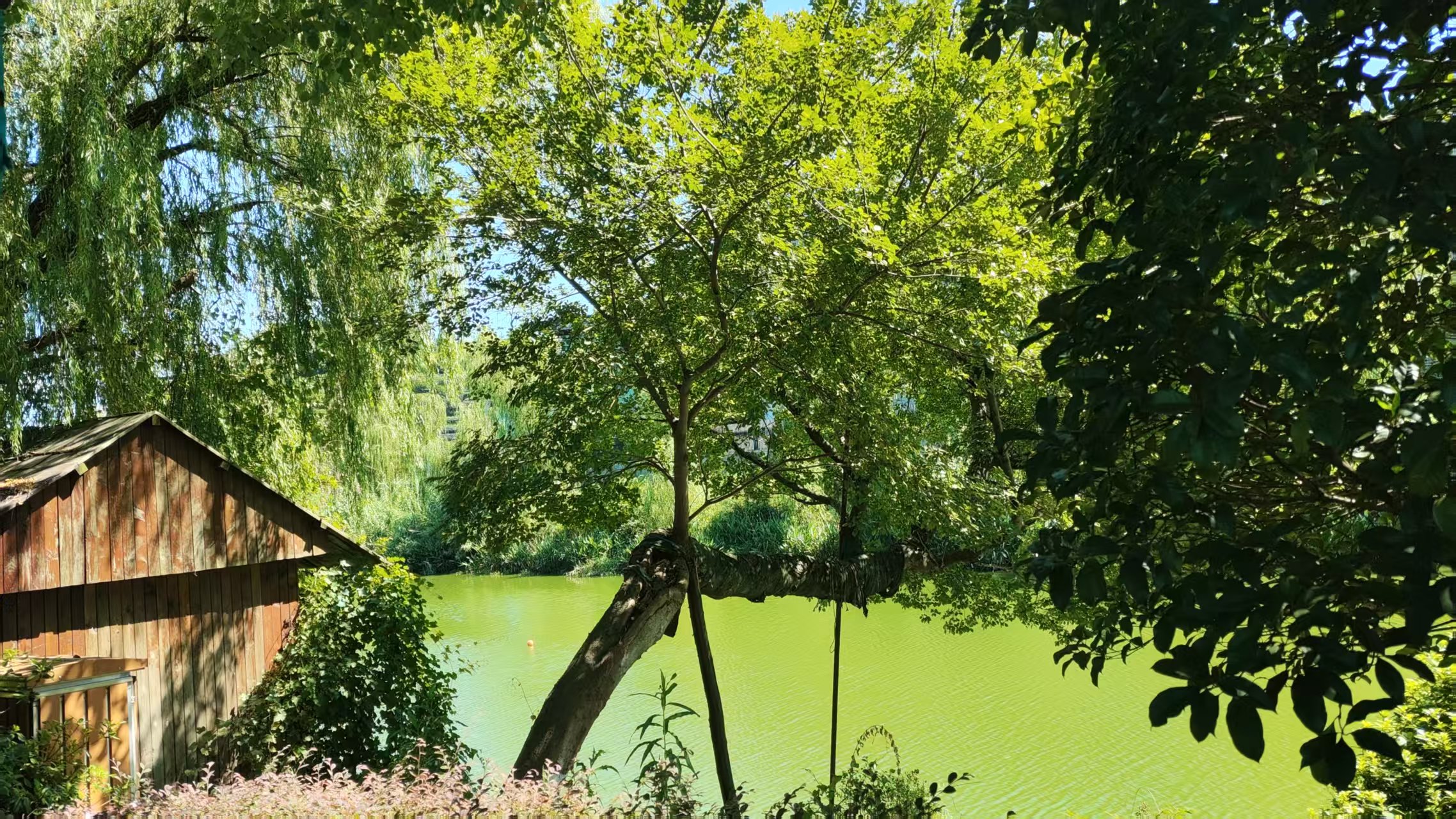 数智赋能水润新城：城市智慧水利构筑现代治水新范式
