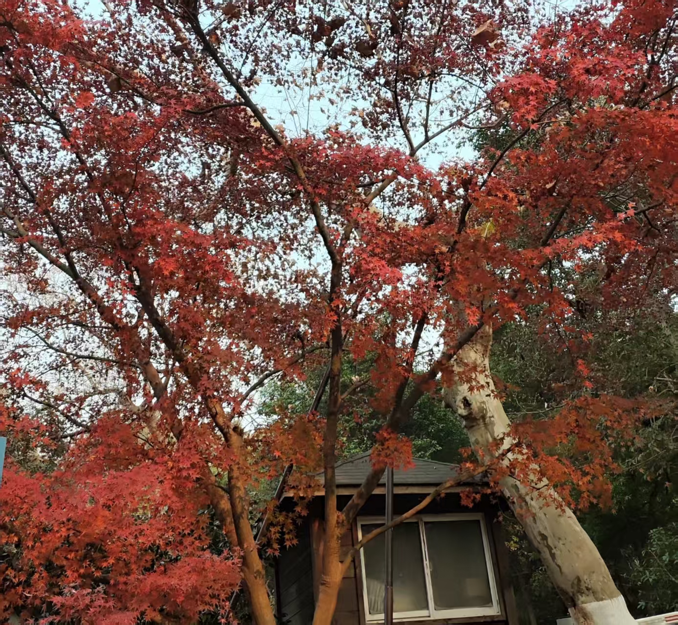 粤港共建智慧城市群专责小组第三次会议在广州召开