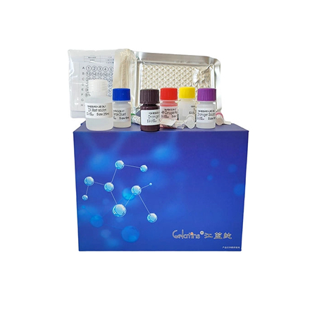 牛ELISA試劑盒 祝賀河南醫(yī)學(xué)院訂購(gòu)晶抗生物牛ELISA試劑盒