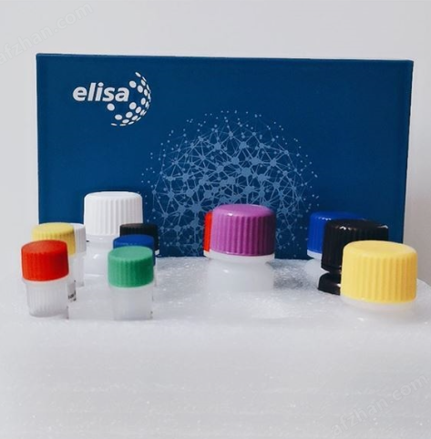 ELISA检测试剂盒
