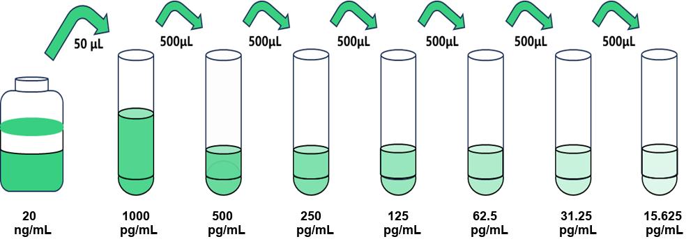 癌胚抗原細胞粘附分子8(CEACAM8)人試劑盒